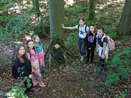 3A+3C-švp-09