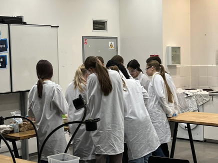 622086684_122301289064008251_1436296381467268833_n