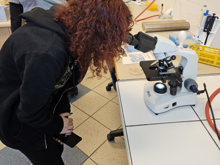 thumbnail_20231218_115821