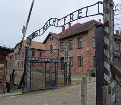 Dějepisná exkurze do Osvětimi