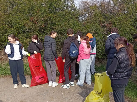 810e4b58-f4d1-4cb0-85ad-5b460c022238