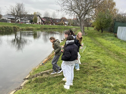 467470676_122225588204008251_581302273451241767_n