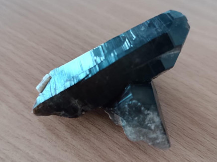 424611150_122168915906008251_6395462893045121477_n