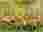 thumbnail_1000056273