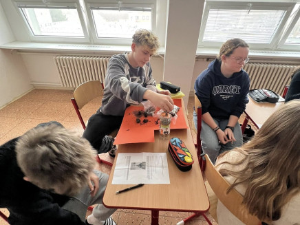 586557093_122290925396008251_704260576233628733_n