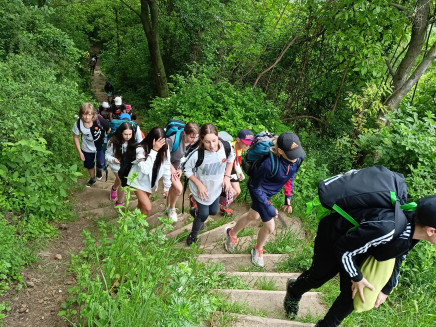 thumbnail_IMG20230606113141