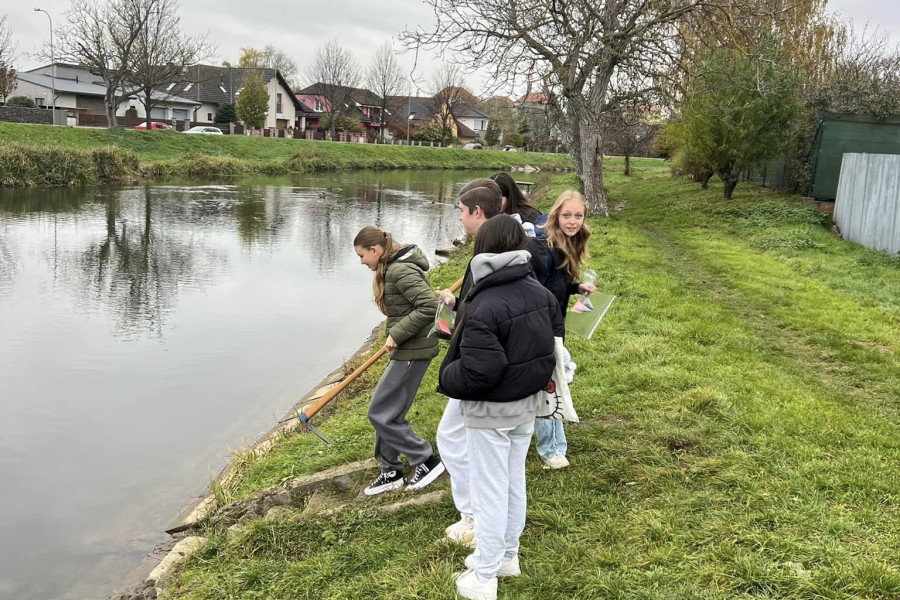 467470676_122225588204008251_581302273451241767_n