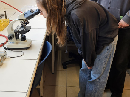 thumbnail_20231218_115746