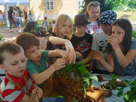 447246560_122192072396008251_1762200735595644286_n